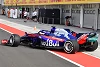 Foto zur News: Toro-Rosso-Fahrer: Honda-Motor ist fahrbarer als der Renault