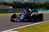 Foto zur News: Toro Rosso: Pierre Gasly ist ein &quot;reiferer&quot; Fahrer geworden