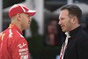 Foto zur News: Horner: Ferrari-Jahre für Sebastian Vettel