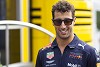 Ricciardo weiß: Titel mit Renault (vorerst) unwahrscheinlich