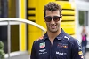 Foto zur News: Ricciardo weiß: Titel mit Renault (vorerst) unwahrscheinlich