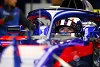 Foto zur News: Pierre Gasly: So will er das Kwjat-Schicksal vermeiden