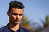 Foto zur News: Toro Rosso: Wehrlein auf der Liste &quot;ganz weit hinten&quot;