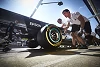 Foto zur News: Bluttests #AND# Ernährungspläne: Wie ein Formel-1-Team fit