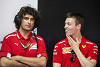 Foto zur News: Daniil Kwjat und Toro Rosso: Bestätigung wird für Sotschi