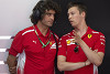 Foto zur News: Anruf vor Ricciardos Kündigung: Darum gibt Red Bull Kwjat