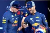 Foto zur News: Ricciardo: Habe eine schlechtere Beziehung zu Verstappen