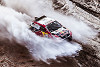 Foto zur News: Fernando Alonso soll Toyotas Rallye-Dakar-Fahrzeug testen