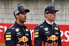 Foto zur News: Ricciardo: Bin nicht vor Verstappen geflüchtet!