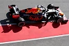 Foto zur News: Max Verstappen glücklich: Honda hat geliefert, was