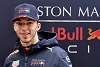 Foto zur News: Pierre Gasly: Glaube nicht, dass ich viel von Verstappen