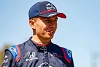 Foto zur News: Alexander Albon: Glaube an Formel-1-Chance war schon tot