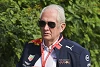 Foto zur News: Bald eine Frau in der Formel 1? Helmut Marko hat große