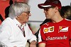 Foto zur News: Bernie Ecclestone glaubt: Sebastian Vettel hört sofort auf,