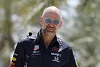 Foto zur News: &quot;Fühle mich sehr wohl&quot;: Adrian Newey will Red Bull nicht