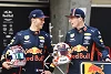 Foto zur News: Pierre Gasly unter Druck: Verstappen ist &quot;eine gute Hilfe