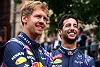 Foto zur News: Ricciardo über Red-Bull-Duell mit Vettel: &quot;Hatte keinen