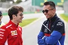 Alexander Albon: Gegen Leclerc holst du maximal ein paar