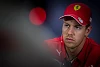 Foto zur News: Ralf Schumacher: Vettel &quot;von zwei Seiten unter Druck&quot;