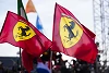 Foto zur News: Formel-1-Live-Ticker: Ferrari hisst Siegflagge in Maranello