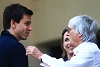 Foto zur News: Toto Wolff: &quot;Bernie will die Leute provozieren&quot;