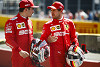 Foto zur News: Ralf Schumacher: Vettel muss auf Nummer-1-Status aufpassen