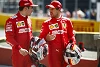 Foto zur News: Ralf Schumacher: Vettel muss auf Nummer-1-Status aufpassen