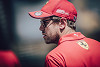 Foto zur News: Hamilton und Co. sicher: Vettel wird &quot;bald wieder