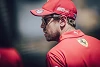 Foto zur News: Hamilton und Co. sicher: Vettel wird &quot;bald wieder