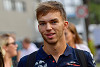 Foto zur News: Gasly fühlt sich im Toro Rosso wieder wohler als im Red Bull
