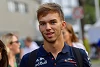 Foto zur News: Gasly fühlt sich im Toro Rosso wieder wohler als im Red Bull