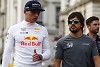 Foto zur News: Fernando Alonso: Max Verstappen aktuell der beste