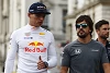 Foto zur News: Fernando Alonso: Max Verstappen aktuell der beste