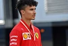 Foto zur News: Ferrari bestätigt: Pascal Wehrlein bleibt Simulatorfahrer