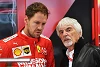 Foto zur News: Sebastian Vettel: Ecclestone und Jordan glauben an Rücktritt