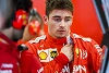 Foto zur News: &quot;Waren ein wenig verärgert&quot;: Leclerc reizt Ferrari mit