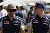 Foto zur News: Helmut Marko bereut Abgang nicht: Carlos Sainz ist &quot;kein