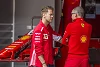 Foto zur News: Krank: Sebastian Vettel fällt bei Barcelona-Test aus!