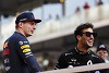 Foto zur News: Verstappen: Ricciardo ist noch immer einer der Schnellsten