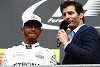Foto zur News: Mark Webber: Lewis Hamilton wird auch 2020 nicht zu schlagen