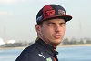 Foto zur News: Ferrari-Posse: Konkurrenten wollen laut Verstappen &quot;gleiche