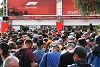 Gewagte F1-Prognosen 2020: McLaren-Sieg, Williams-Podium