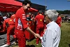 Foto zur News: Bernie Ecclestone: Briatore wäre besserer Ferrari-Teamchef