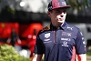 Foto zur News: Verstappen über virtuelle Formel-1-Serie: &quot;Werde nicht