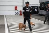 Foto zur News: Delikatesse in Fernost: Lewis Hamilton kämpft für