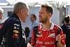 Foto zur News: Helmut Marko glaubt: &quot;Sebastian Vettel wird aufhören,