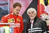 Foto zur News: Formel-1-Liveticker: Ecclestone meint: Vettel würde gerne