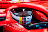 Foto zur News: Damon Hill: Für Sebastian Vettel kann es nur noch bergab