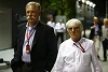 Foto zur News: Rassismus: F1 distanziert sich nach kontroverser Aussage von