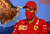 Foto zur News: Sebastian Vettel stellt klar: Es gab nie ein Angebot von